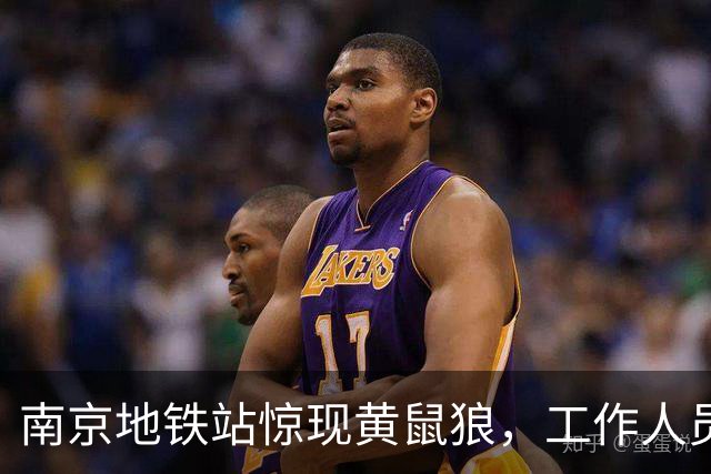南京地铁站惊现黄鼠狼，工作人员已采取整改措施
